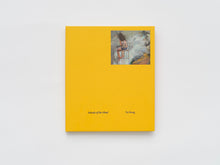 Load image into Gallery viewer, Yu Hong &#39;Islands of the Mind&#39;
