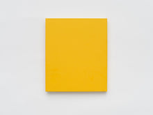 Load image into Gallery viewer, Yu Hong &#39;Islands of the Mind&#39;
