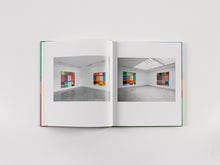 Load image into Gallery viewer, Stanley Whitney
